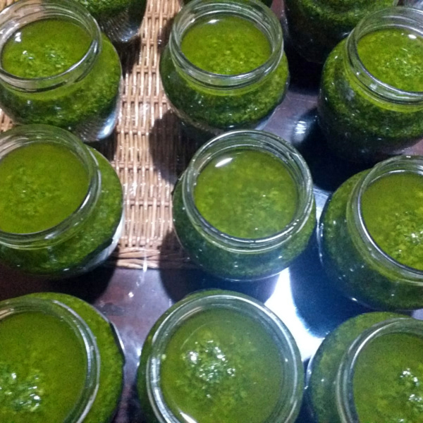 pesto